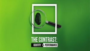 Grace Life Academy The Contrast Identity Vs Performance